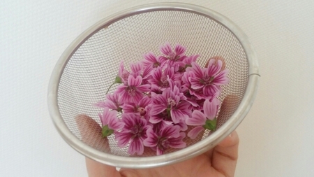 20150526223723050.jpg
