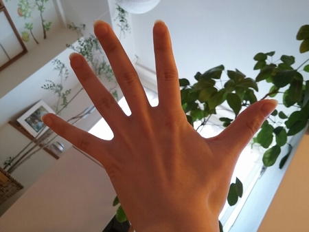 20151230022533681.jpg