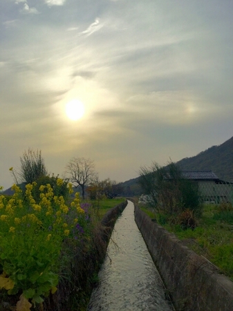 20160420155054236.jpg