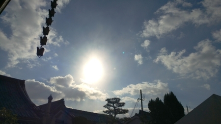20170125134116649.jpg