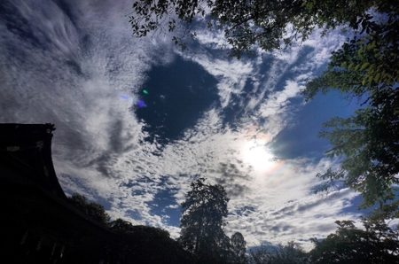 20180621174256945.jpg