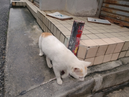20190106101728600.jpg